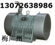 YZG30-2.2/2振動(dòng)電機(jī)  ZFB-15倉壁振動(dòng)器