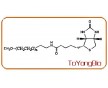 甲氧基生物素	mPEG-Biotin 上海拓旸生物專業(yè)生產(chǎn)