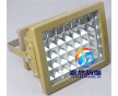 廣安電廠LED防爆應(yīng)急燈40W/化工廠LED壁掛式20w