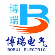 青島博瑞電氣有限公司電氣部