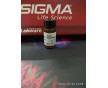 約惠春天53188-07-1價格sigma奎諾二甲基丙烯酸酯