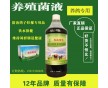 喂鴿子飲水保健用的em菌液批發(fā)價(jià)