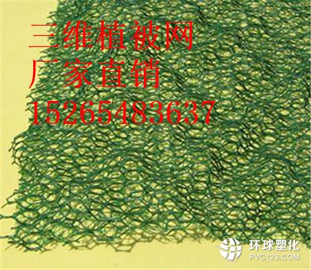 六安三維植被網(wǎng)廠家15265483637